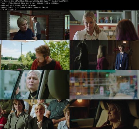 Porni S01 NORWEGIAN 720p VIAP WEBRip x264-GalaxyTV