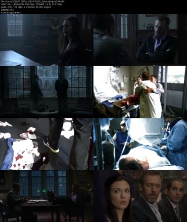 House S08 BDRip x265-ION265