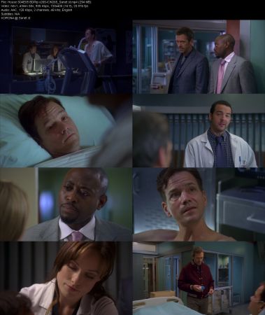 House S04 BDRip x265-ION265