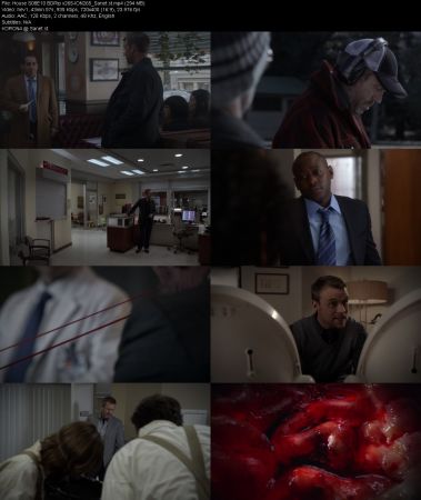 House S08 BDRip x265-ION265