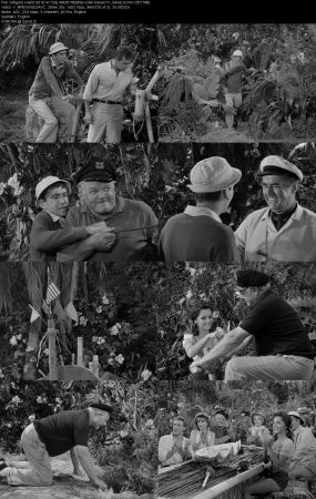 Gilligans Island 1964 S01 720p AMZN WEBRip x264-GalaxyTV