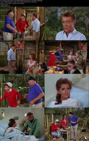 Gilligans Island 1964 S02 720p AMZN WEBRip x264-GalaxyTV