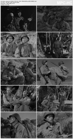 A Walk In The Sun 1945 1080p BluRay x265-RARBG