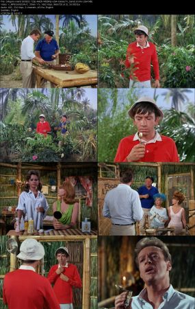 Gilligans Island 1964 S03 720p AMZN WEBRip x264-GalaxyTV