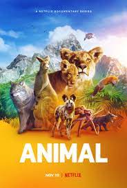 Animal 2021 S02 720p NF WEBRip x264-GalaxyTV