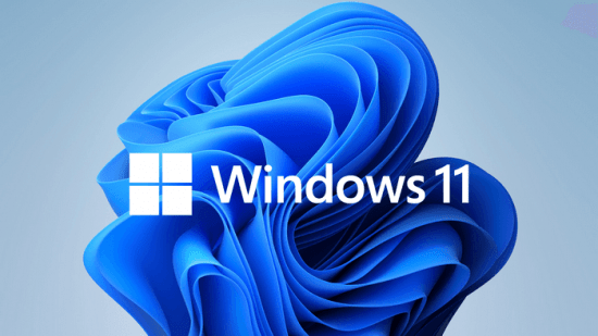 Windows 11 Pro 21H2 Build 22000.613 Non-TPM 2.0 Compliant x64 En-US Preactivated