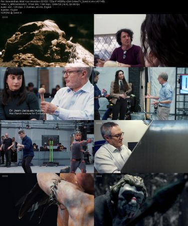 Neanderthals Meet Your Ancestors S01 720p iP WEBRip x264-GalaxyTV