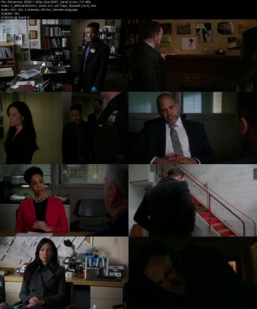 Elementary S06 480p x264-ZMNT