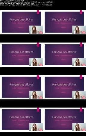 Français PRO (français des affaires + grammaire avancée)