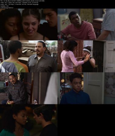 On My Block S01 WEBRip x265-ION265