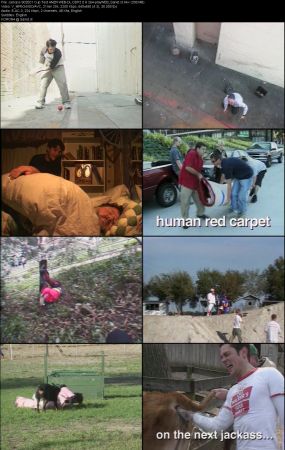 Jackass S02 AMZN WEB-DL DDP2.0 H264-playWEB