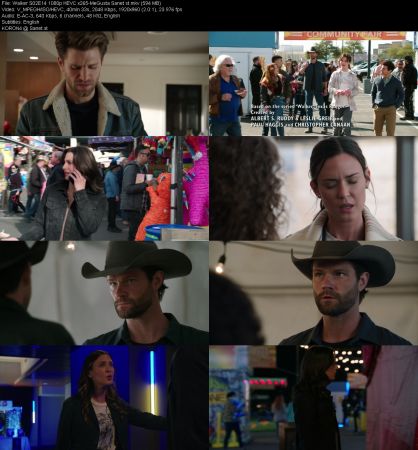 Walker S02E14 1080p HEVC x265-MeGusta