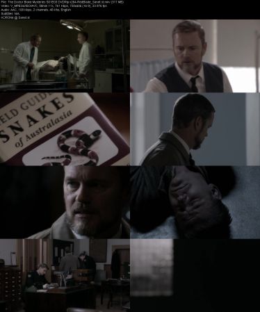 The Doctor Blake Mysteries S01 DVDRip x264-RedBlade