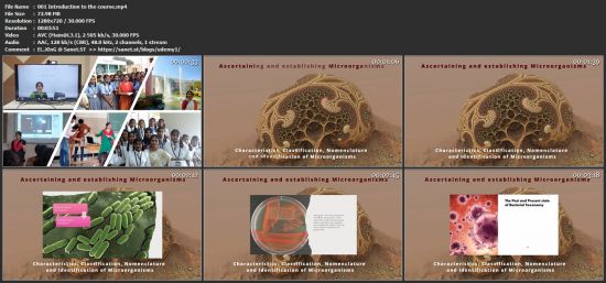 Microbiology: Characterization &amp; Identification