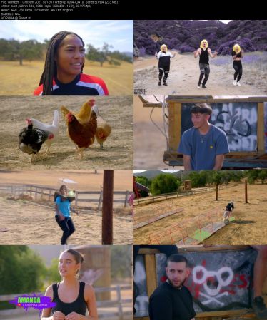 Number 1 Chicken 2021 S01 RED WEBRip x264-ION10