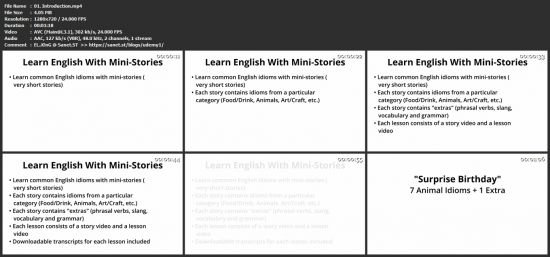 Learn English With Mini-Stories - Level 1 - "Surprise Birthday, " "Chocolate Chip Cookies"
