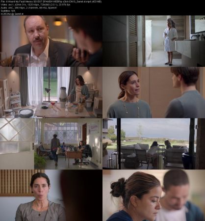 It Wasnt My Fault Mexico S01 SPANISH WEBRip x264-ION10