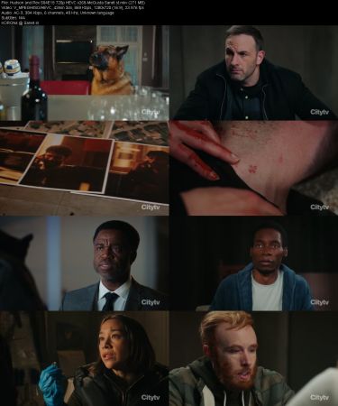 Hudson and Rex S04E15 720p HEVC x265-MeGusta