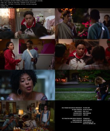 On My Block S01 WEBRip x265-ION265