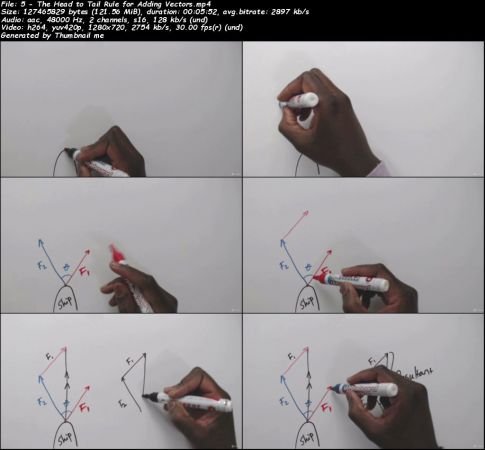 AP Physics: Vectors and Dynamics - Master the Principles