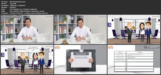 English for Business: Professional Business English course