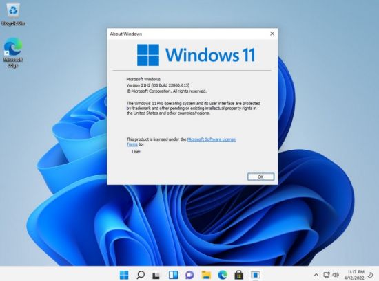 Windows 11 21H2 Pro Version 21H2 Build 22000.613 incl Office 2021 en-US x64 April 2022