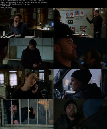 Chicago P.D. S09E17 1080p HEVC x265-MeGusta