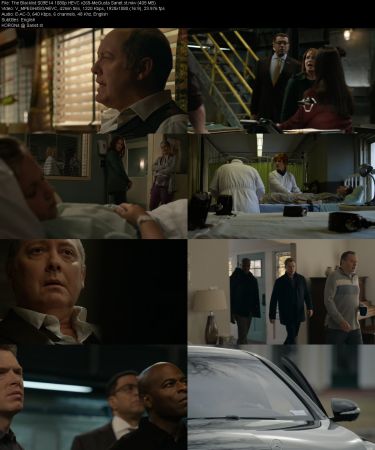 The Blacklist S09E14 1080p HEVC x265-MeGusta