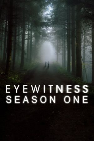 Eyewitness S01 WEBRip x265-ION265