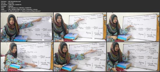 Master in Physiology
