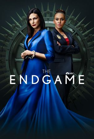 The Endgame S01E08 720p HEVC x265-MeGusta
