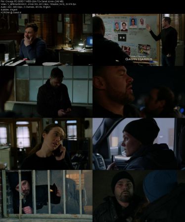 Chicago P.D. S09E17 WEB x264-TGx
