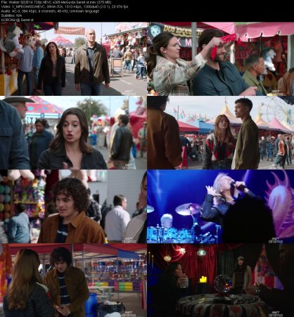 Walker S02E14 720p HEVC x265-MeGusta