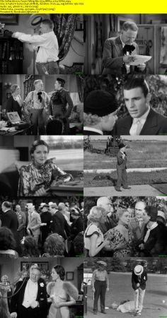 Youre Telling Me 1934 BRRip x264-ION10
