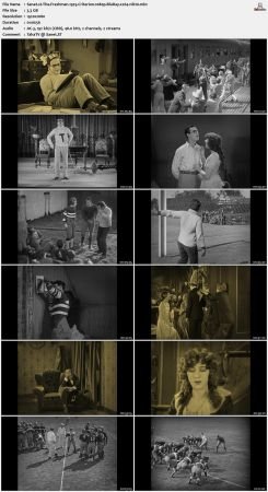The Freshman 1925 Criterion 1080p BluRay x264-nikt0