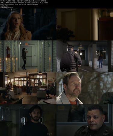Big Sky 2020 S02E15 720p HEVC x265-MeGusta