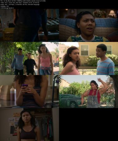 On My Block S01 WEBRip x265-ION265