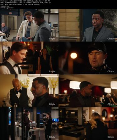 Hudson and Rex S04E14 720p HEVC x265-MeGusta