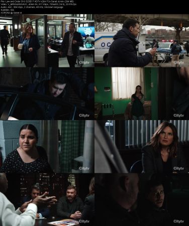 Law and Order SVU S23E17 HDTV x264-TGx