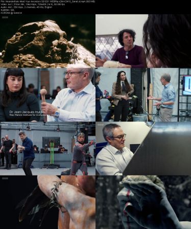 Neanderthals Meet Your Ancestors S01 iP WEBRip x264-ION10