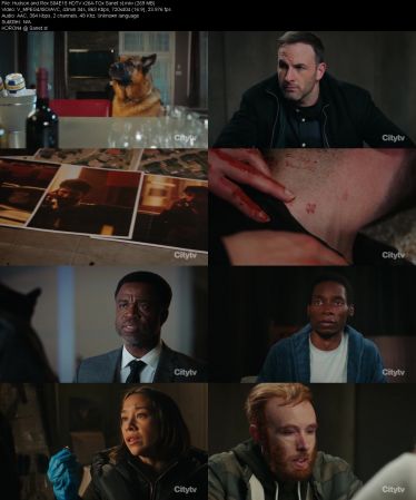 Hudson and Rex S04E15 HDTV x264-TGx