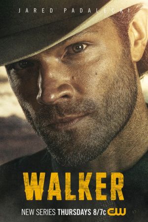 Walker S02E14 HDTV x264-TGx