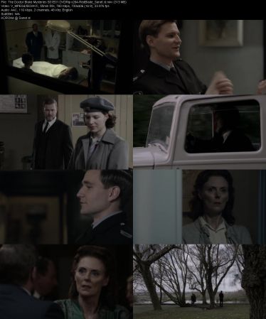The Doctor Blake Mysteries S01 DVDRip x264-RedBlade