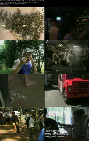 Jackass S01 AMZN WEB-DL DDP2.0 H264-playWEB