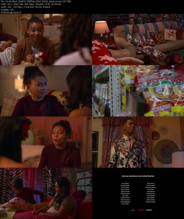 On My Block S04 WEBRip x265-ION265
