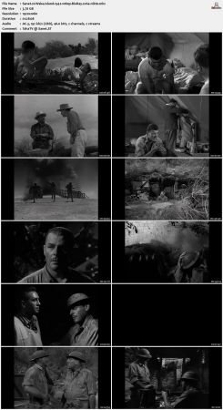 Wake Island 1942 1080p BluRay x264-nikt0