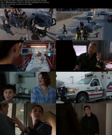 Chicago Fire S10E17 1080p HEVC x265-MeGusta