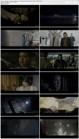 Rambo Last Blood 2019 1080p BluRay HDR10 10Bit Dts-HD Ma7.1 H265-d3g