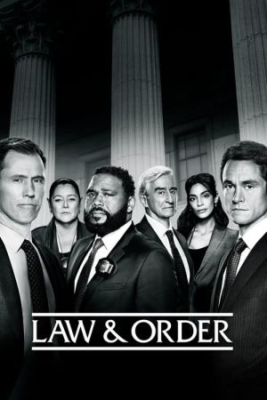 Law and Order S21E05 720p HEVC x265-MeGusta