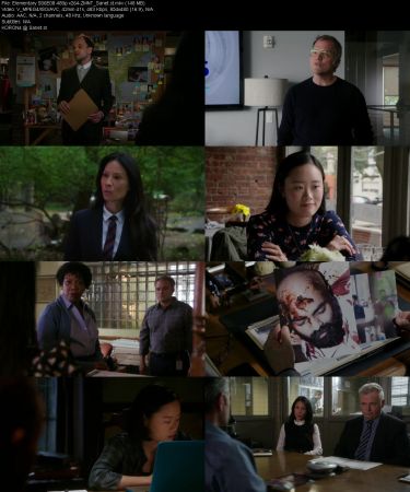 Elementary S06 480p x264-ZMNT